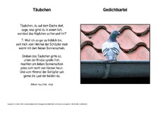 Täubchen-Hey.pdf